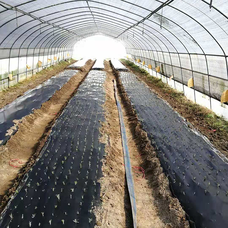 �Ϲ��羺-�����ɾͷǷ�,����Ʒ�Ƶ�����