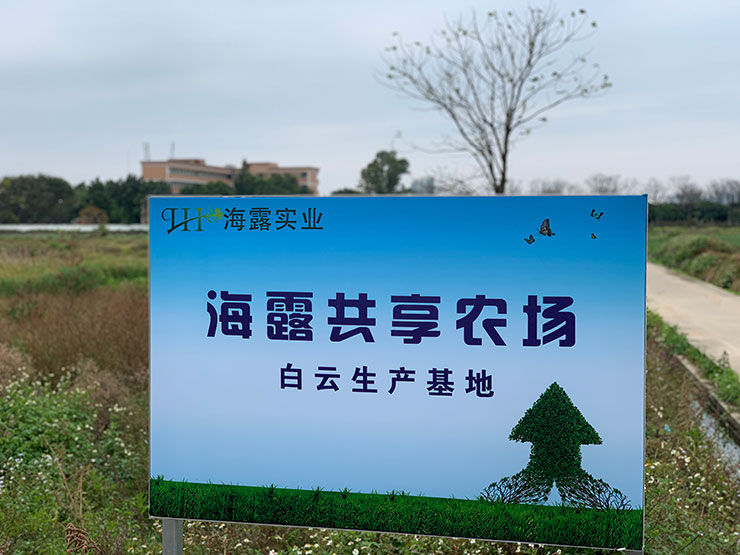 �Ϲ��羺-�����ɾͷǷ�,����Ʒ�Ƶ�����