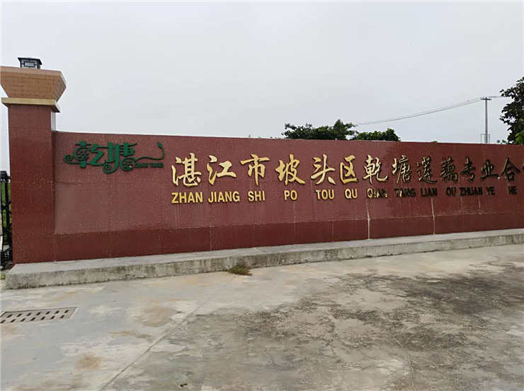 �Ϲ��羺-�����ɾͷǷ�,����Ʒ�Ƶ�����