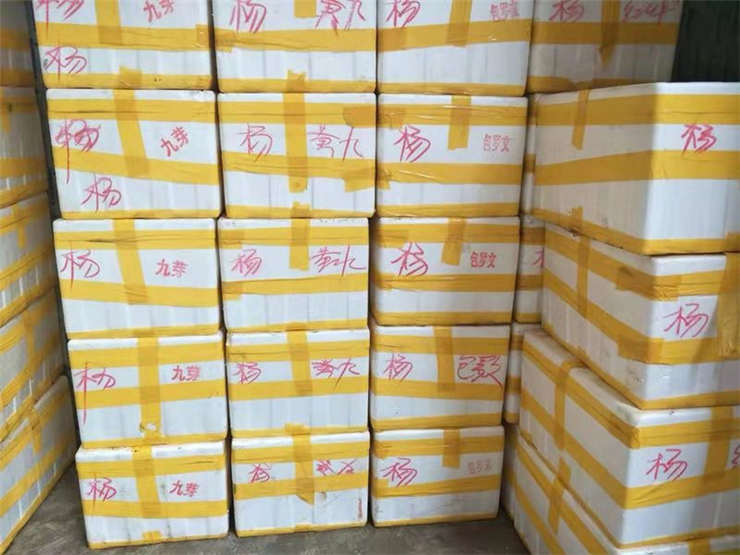 �Ϲ��羺-�����ɾͷǷ�,����Ʒ�Ƶ�����