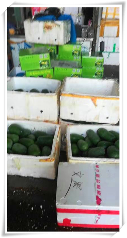 �Ϲ��羺-�����ɾͷǷ�,����Ʒ�Ƶ�����