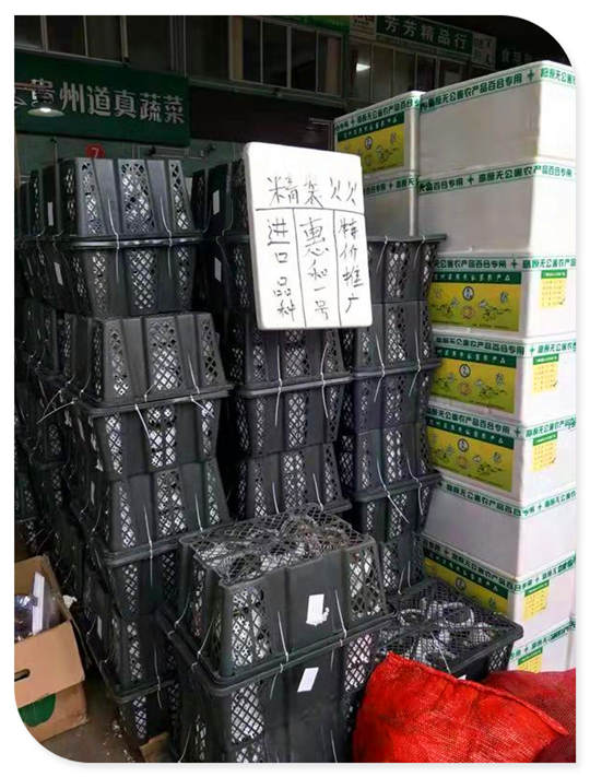 �Ϲ��羺-�����ɾͷǷ�,����Ʒ�Ƶ�����