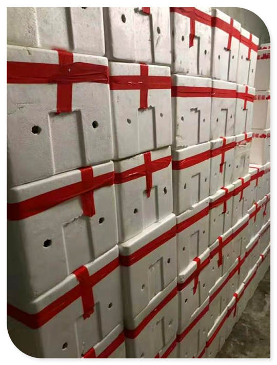 �Ϲ��羺-�����ɾͷǷ�,����Ʒ�Ƶ�����
