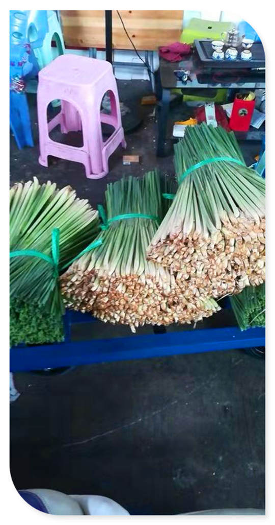 �Ϲ��羺-�����ɾͷǷ�,����Ʒ�Ƶ�����