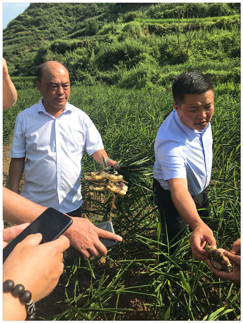 �Ϲ��羺-�����ɾͷǷ�,����Ʒ�Ƶ�����