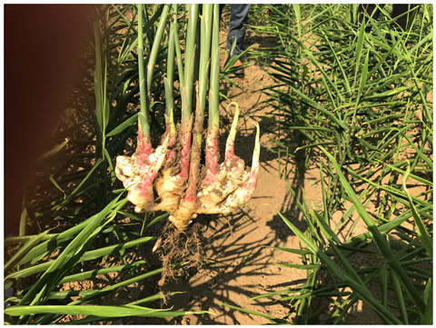 �Ϲ��羺-�����ɾͷǷ�,����Ʒ�Ƶ�����