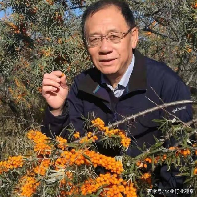 �Ϲ��羺-�����ɾͷǷ�,����Ʒ�Ƶ�����
