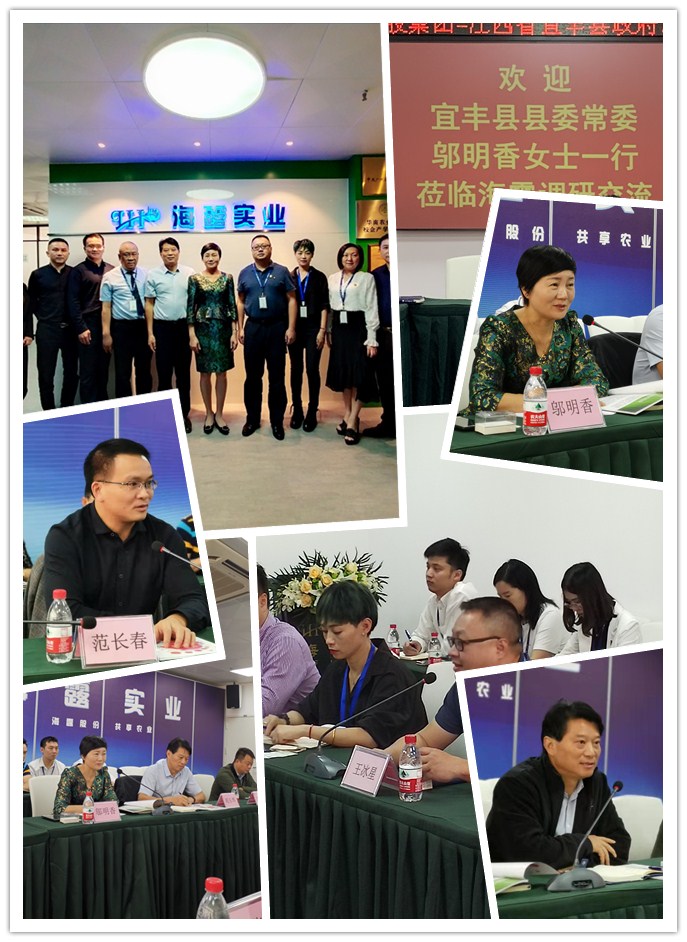 �Ϲ��羺-�����ɾͷǷ�,����Ʒ�Ƶ�����