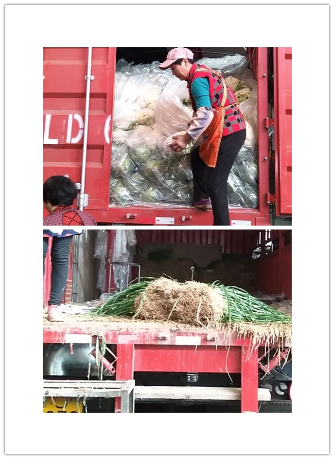 �Ϲ��羺-�����ɾͷǷ�,����Ʒ�Ƶ�����
