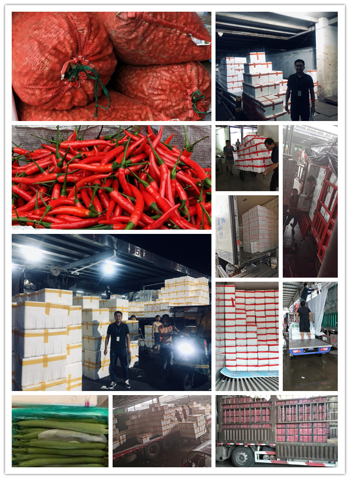 �Ϲ��羺-�����ɾͷǷ�,����Ʒ�Ƶ�����