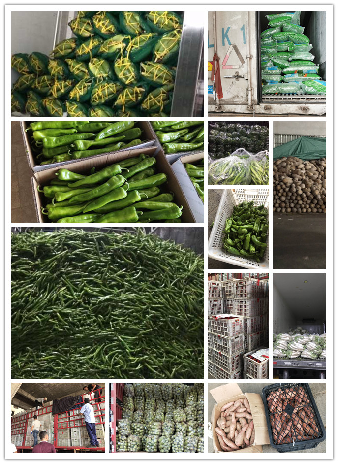 �Ϲ��羺-�����ɾͷǷ�,����Ʒ�Ƶ�����