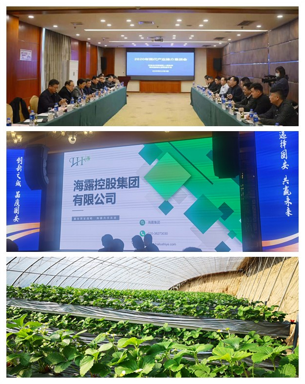 �Ϲ��羺-�����ɾͷǷ�,����Ʒ�Ƶ�����