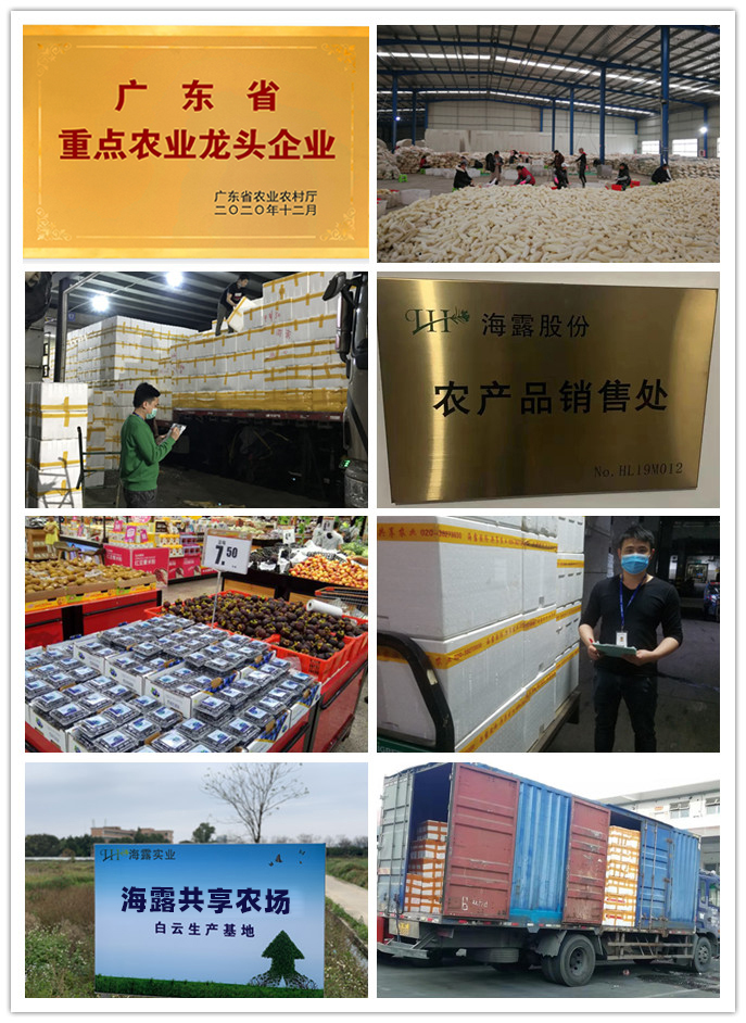 �Ϲ��羺-�����ɾͷǷ�,����Ʒ�Ƶ�����