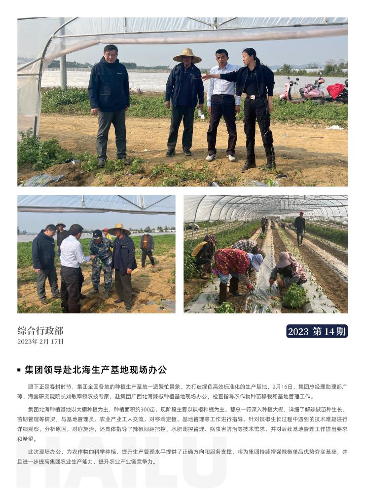 �Ϲ��羺-�����ɾͷǷ�,����Ʒ�Ƶ�����