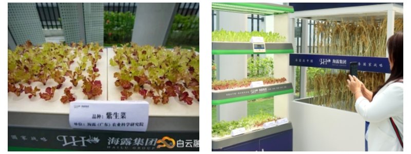 �Ϲ��羺-�����ɾͷǷ�,����Ʒ�Ƶ�����