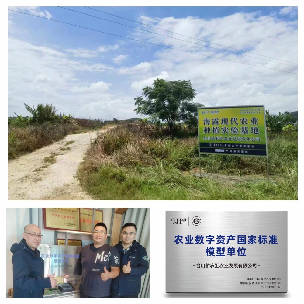 �Ϲ��羺-�����ɾͷǷ�,����Ʒ�Ƶ�����
