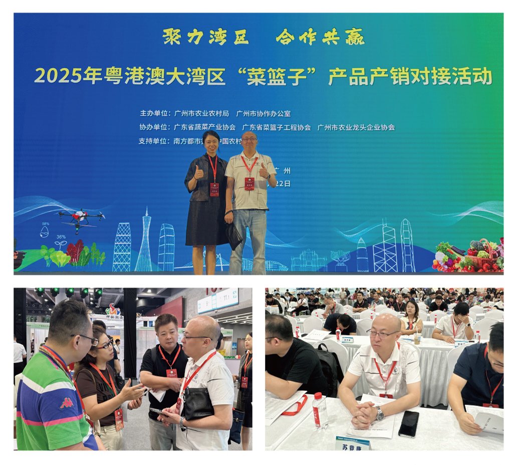 �Ϲ��羺-�����ɾͷǷ�,����Ʒ�Ƶ�����