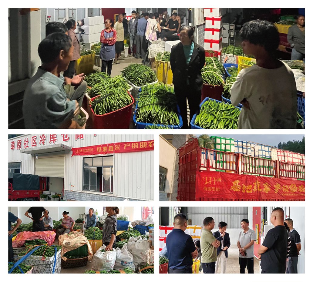 �Ϲ��羺-�����ɾͷǷ�,����Ʒ�Ƶ�����