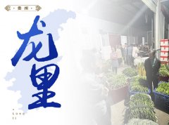  ����-½�����귢չ����ֱ�ɹ�