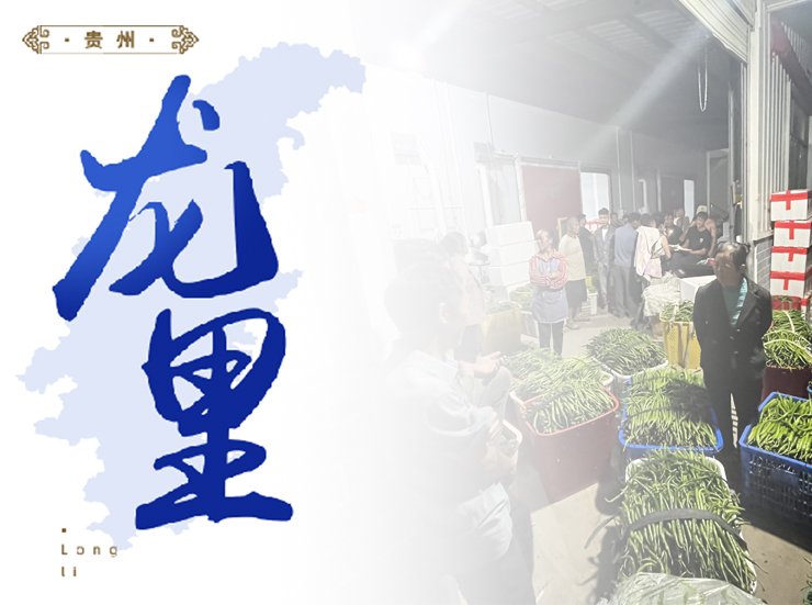 �Ϲ��羺-�����ɾͷǷ�,����Ʒ�Ƶ�����